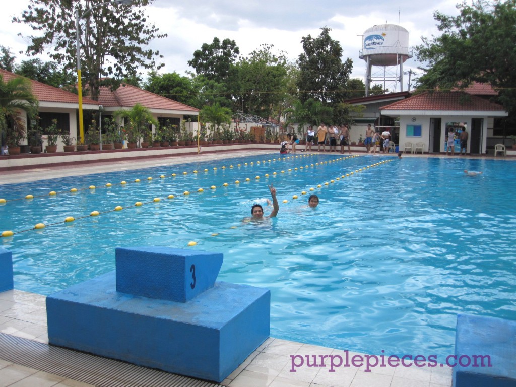 Club Manila East - Lap Pool / Olympic Pool