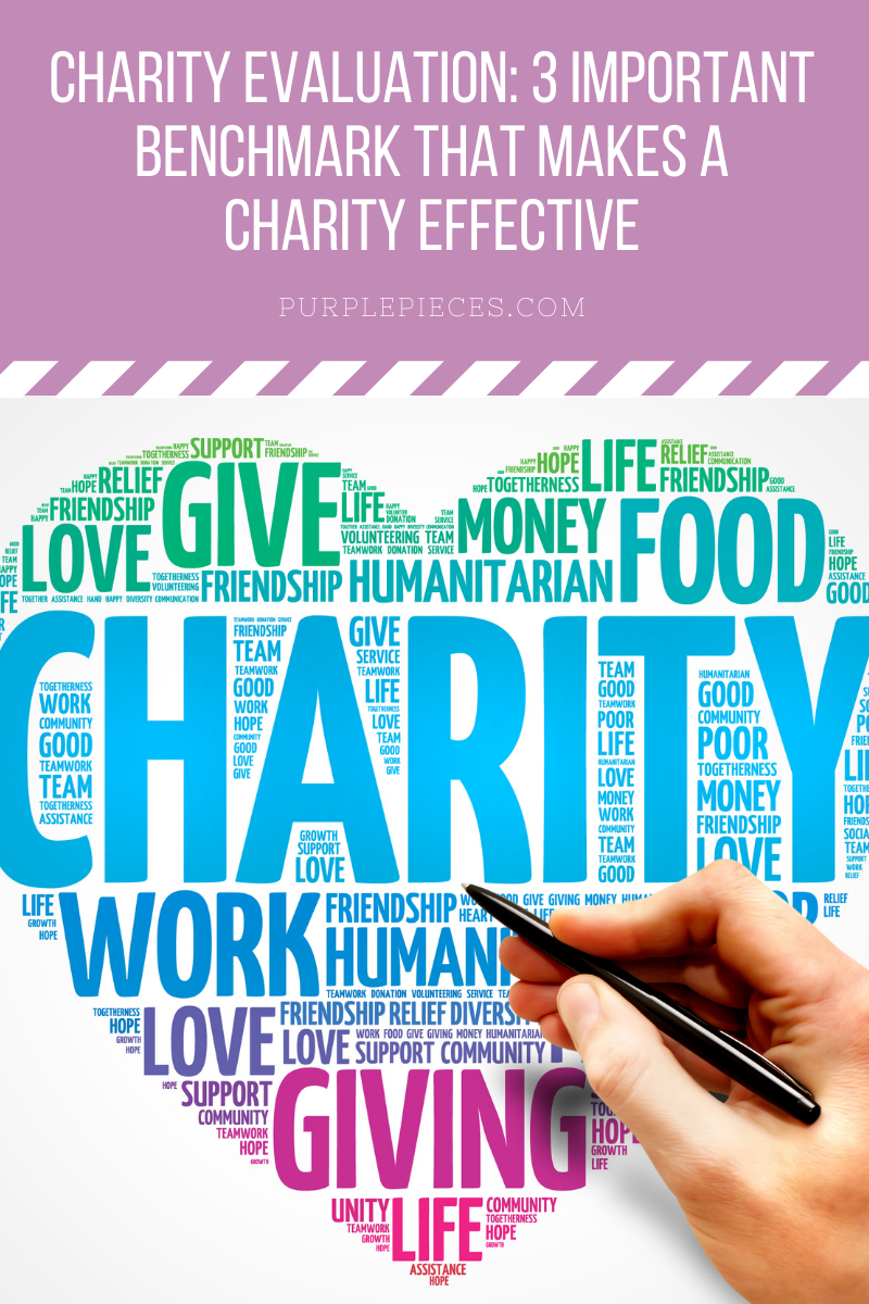 Charity Evaluation: 3 Important Benchmark That Makes a Charity Effective