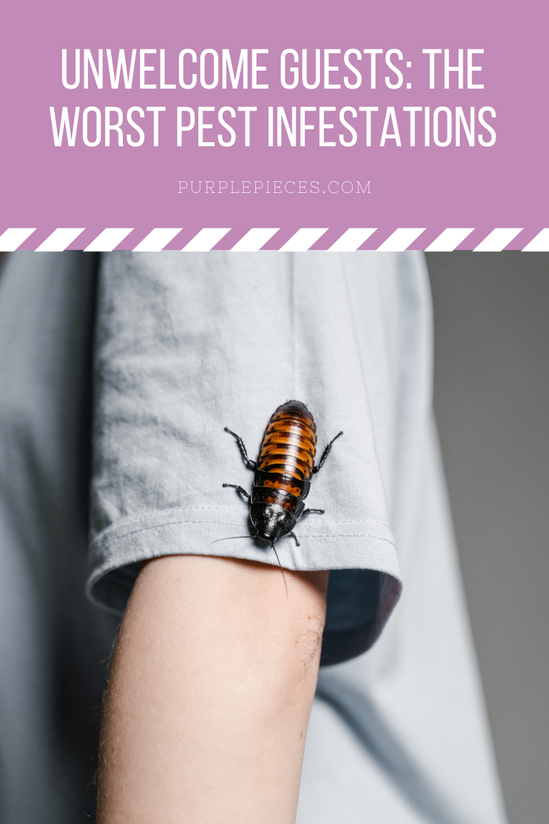 Unwelcome Guests: The Worst Pest Infestations