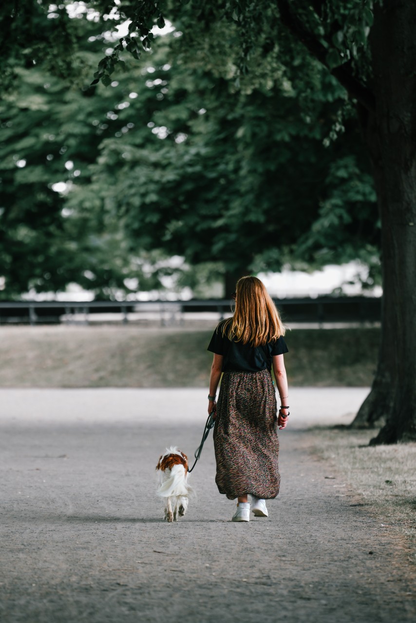 Don’t Scroll Away Your Sanity: Practical Tips for Improved Mental Wellness