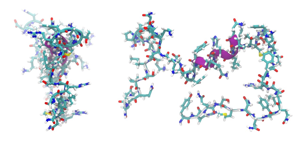 7 Best Places to Buy Research Peptides in 2026
